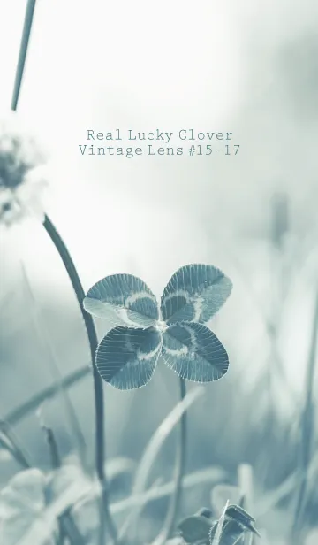 [LINE着せ替え] 四つ葉のクローバー Vintage Lens #15-17の画像1