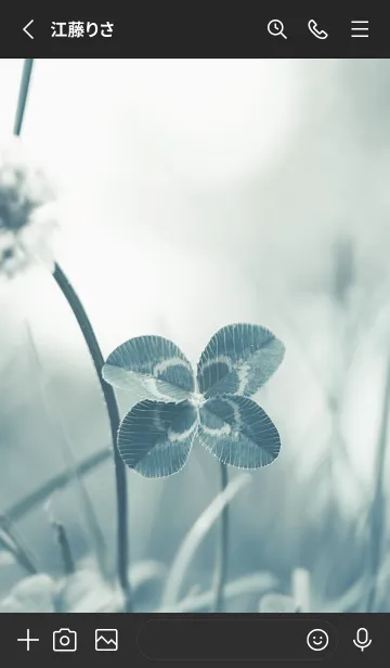 [LINE着せ替え] 四つ葉のクローバー Vintage Lens #15-17の画像2