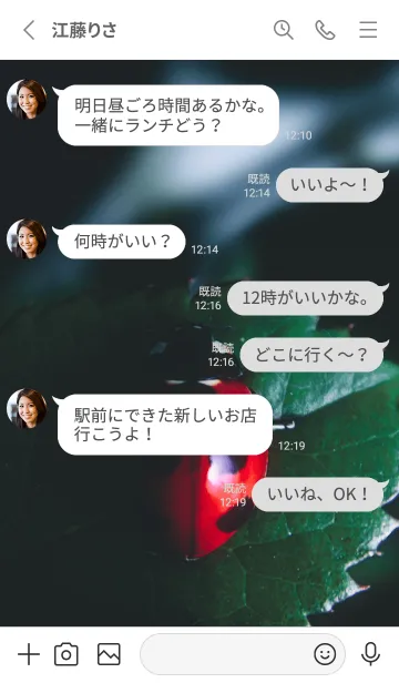 [LINE着せ替え] Ladybird Symbol of good luck #2-13の画像3