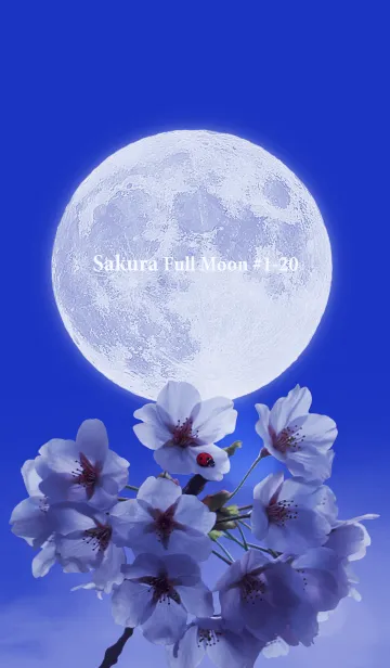 [LINE着せ替え] Sakura Full Moon #1-20の画像1