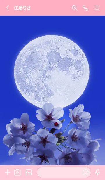 [LINE着せ替え] Sakura Full Moon #1-20の画像2