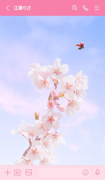 [LINE着せ替え] Sakura & Ladybird #3-11の画像2