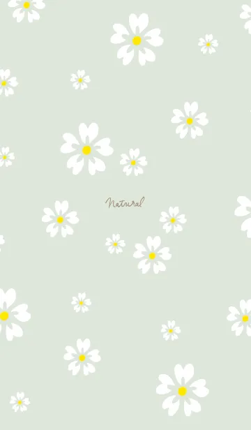 [LINE着せ替え] 5枚の白い花びら17の画像1