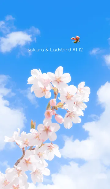 [LINE着せ替え] Sakura & Ladybird #1-12の画像1