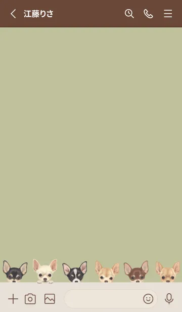 [LINE着せ替え] DOGS - チワワ - リーフグリーンの画像2