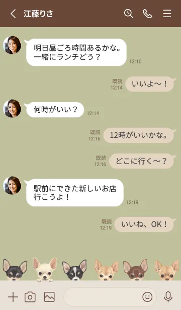 [LINE着せ替え] DOGS - チワワ - リーフグリーンの画像3