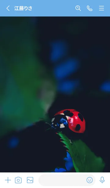 [LINE着せ替え] Ladybird Symbol of good luck #4-13の画像2