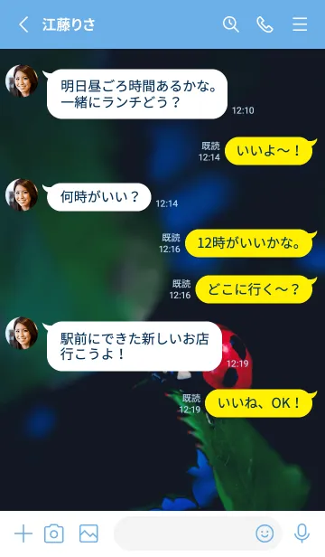 [LINE着せ替え] Ladybird Symbol of good luck #4-13の画像3