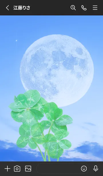 [LINE着せ替え] Real Lucky Clovers Full Moon #1-12の画像2