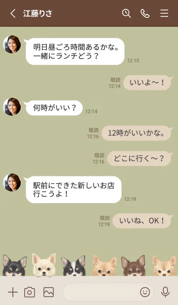 [LINE着せ替え] DOGS - チワワ L - リーフグリーンの画像3