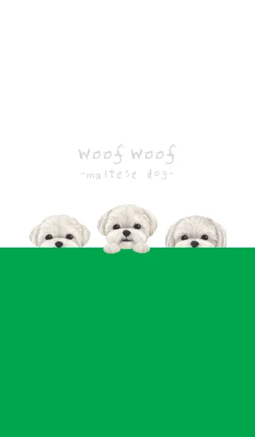 [LINE着せ替え] ワンワン！ - マルチーズ - 白×緑色の画像1