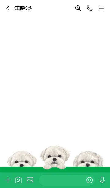 [LINE着せ替え] ワンワン！ - マルチーズ - 白×緑色の画像2