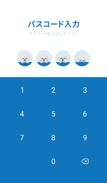[LINE着せ替え] ワンワン！ - マルチーズ - 白×青色の画像4