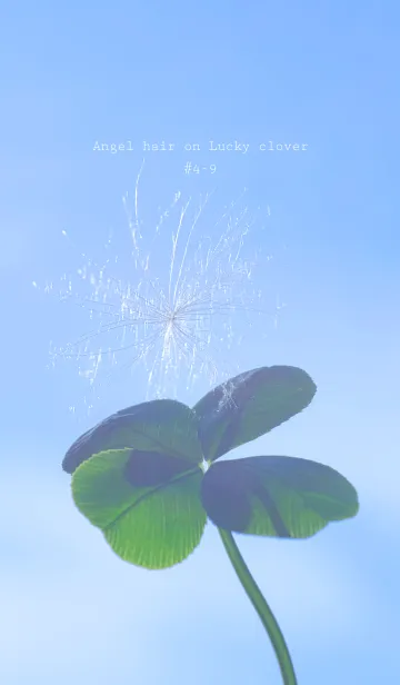 [LINE着せ替え] 幸運の妖精ケサランパサラン #4-9の画像1