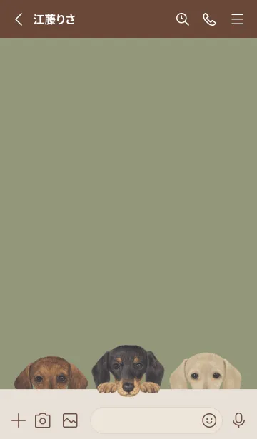 [LINE着せ替え] ダックスフンド - オリーブの画像2