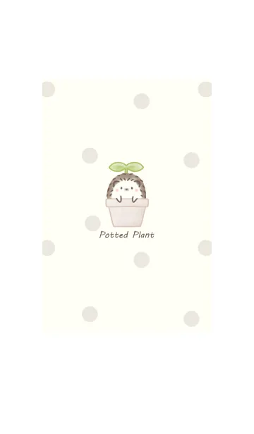 [LINE着せ替え] ハリネズミと鉢植え -アイボリー- ドットの画像1