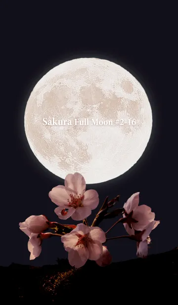 [LINE着せ替え] Sakura Full Moon #2-16の画像1