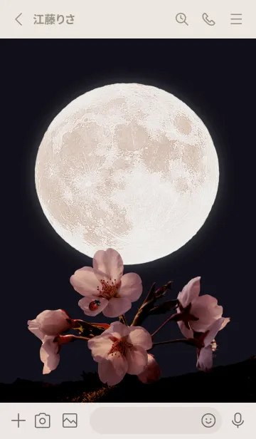 [LINE着せ替え] Sakura Full Moon #2-16の画像2