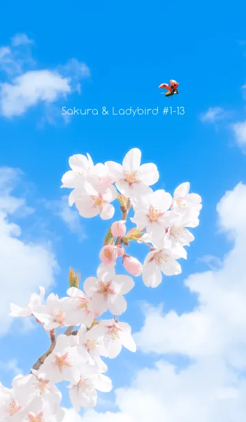 [LINE着せ替え] Sakura & Ladybird #1-13の画像1