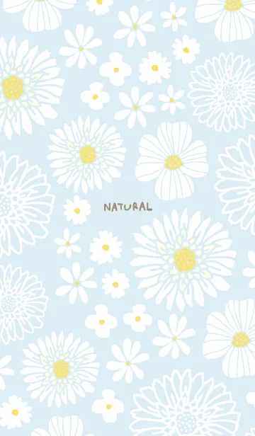 [LINE着せ替え] 色々な白い花3の画像1