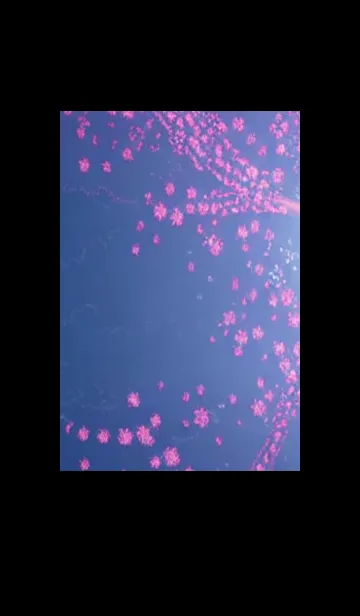 [LINE着せ替え] 幻想桜#EV214。の画像1