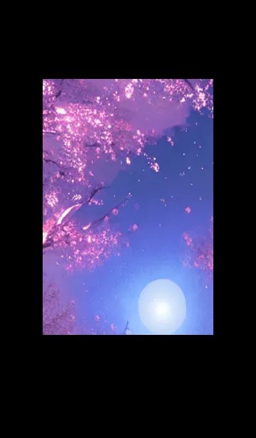 [LINE着せ替え] 幻想桜#EV230。の画像1