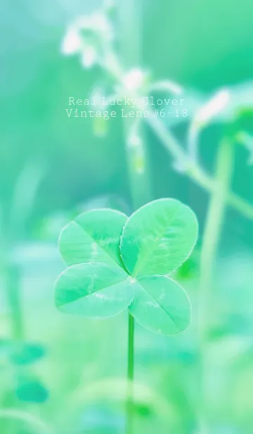 [LINE着せ替え] 四つ葉のクローバー Vintage Lens #6-18の画像1
