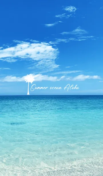 [LINE着せ替え] Summer ocean Aloha.の画像1