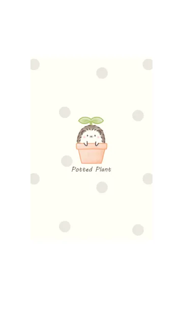[LINE着せ替え] ハリネズミと鉢植え -オレンジ- ドットの画像1