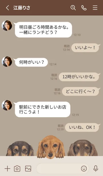 [LINE着せ替え] ダックスフンド L - カーキーの画像3