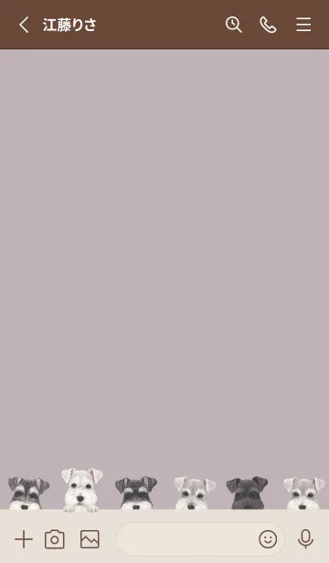 [LINE着せ替え] DOGS - シュナウザー - パープルグレーの画像2