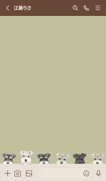 [LINE着せ替え] DOGS - シュナウザー - リーフグリーンの画像2