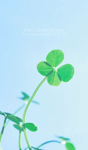 [LINE着せ替え] 四つ葉のクローバー Vintage Lens #13-18の画像1