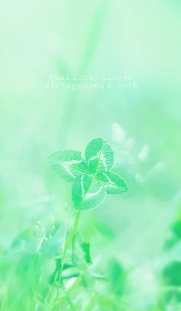 [LINE着せ替え] 四つ葉のクローバー Vintage Lens #14-18の画像1