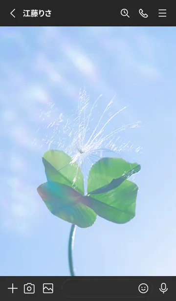 [LINE着せ替え] 幸運の妖精ケサランパサラン #3-15の画像2