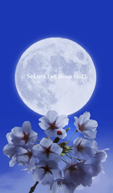 [LINE着せ替え] Sakura Full Moon #1-22の画像1
