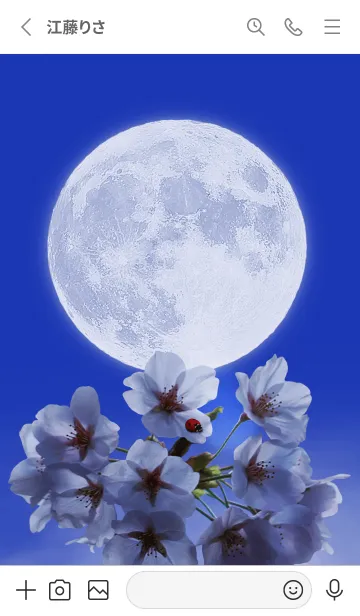[LINE着せ替え] Sakura Full Moon #1-22の画像2