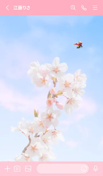 [LINE着せ替え] Sakura & Ladybird #3-13の画像2