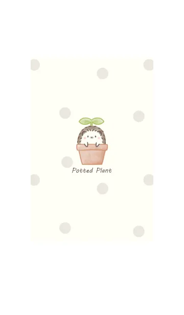 [LINE着せ替え] ハリネズミと鉢植え -ブラウン- ドットの画像1
