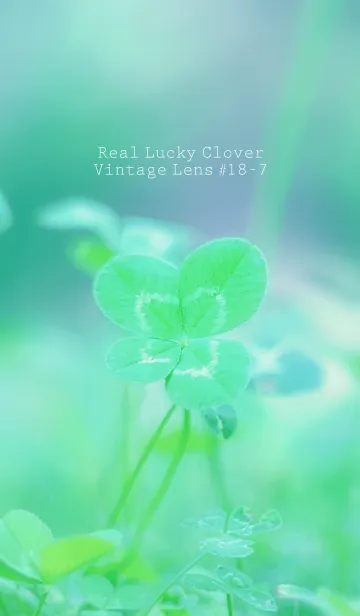 [LINE着せ替え] 四つ葉のクローバー Vintage Lens #18-7の画像1