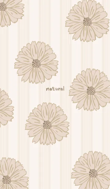 [LINE着せ替え] マーガレット 大人カラー13の画像1