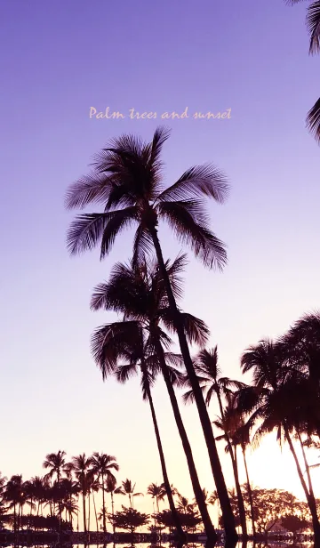 [LINE着せ替え] Palm trees and sunset 8の画像1