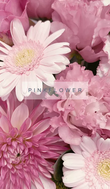 [LINE着せ替え] PINK FLOWER-hisatoto 30の画像1