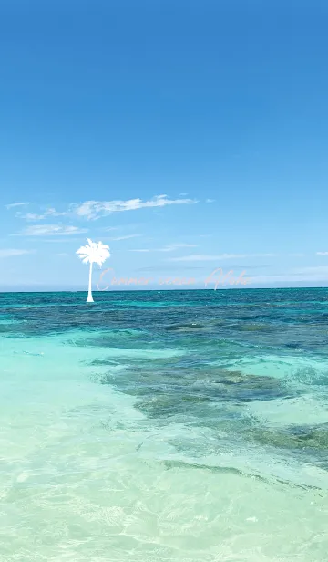 [LINE着せ替え] Summer ocean Aloha.5の画像1