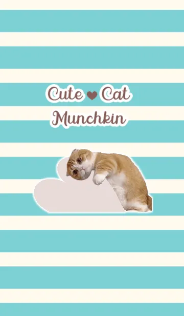 [LINE着せ替え] たれ耳ねこちゃん着せ替えシンプルブルーの画像1