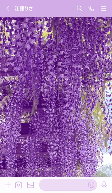 [LINE着せ替え] WISTERIA FLOWER 2の画像2