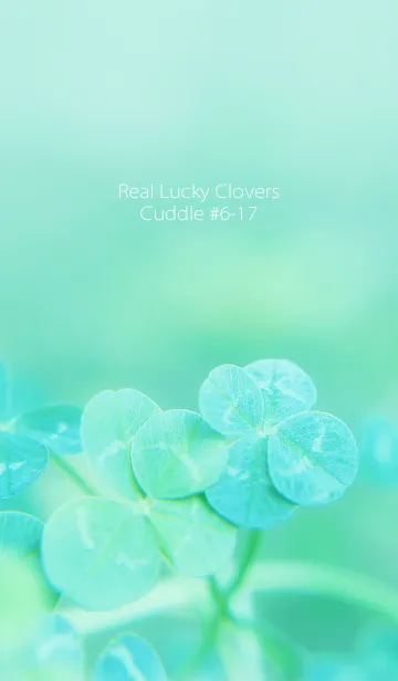 [LINE着せ替え] 四つ葉のクローバー Cuddle #6-17の画像1