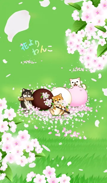 [LINE着せ替え] 花よりわんこ18（柴犬、芝生、桜、団子）の画像1