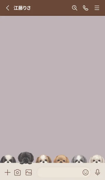 [LINE着せ替え] DOGS - シーズー - パープルグレーの画像2