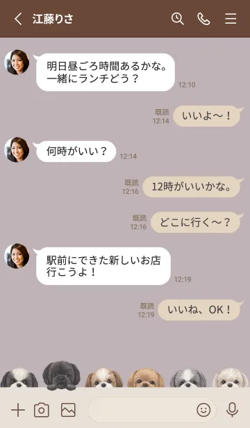 [LINE着せ替え] DOGS - シーズー - パープルグレーの画像3